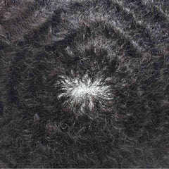 Afro Men Curly Hair System Full Lace toupee
